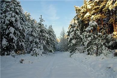 爆笑双人合作《狂野星球复仇记》标准版今日正式发售！登陆PC与主机平台，开启全新外星冒险！